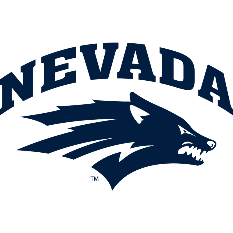 Nevada Wolf Pack iron ons